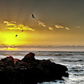 Moonstone Beach Twilight